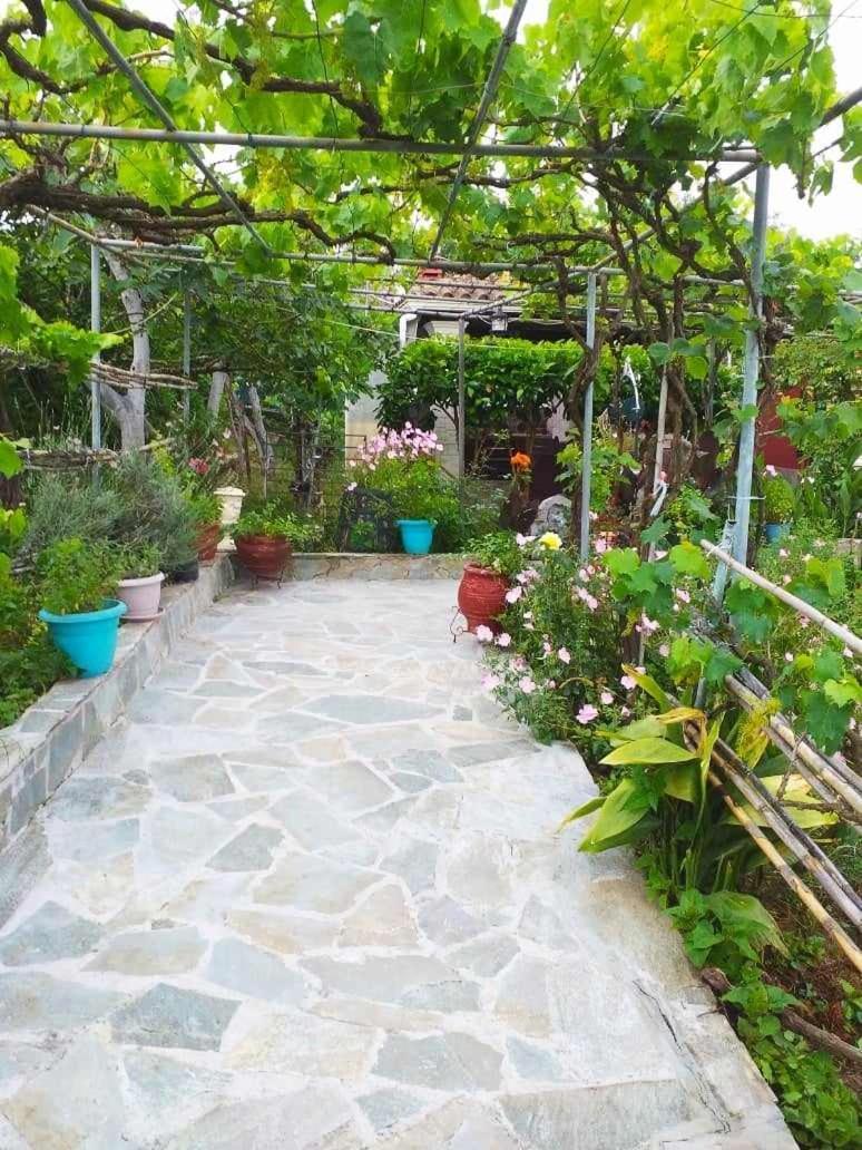 Malotu Resort Szinarádesz Kültér fotó
