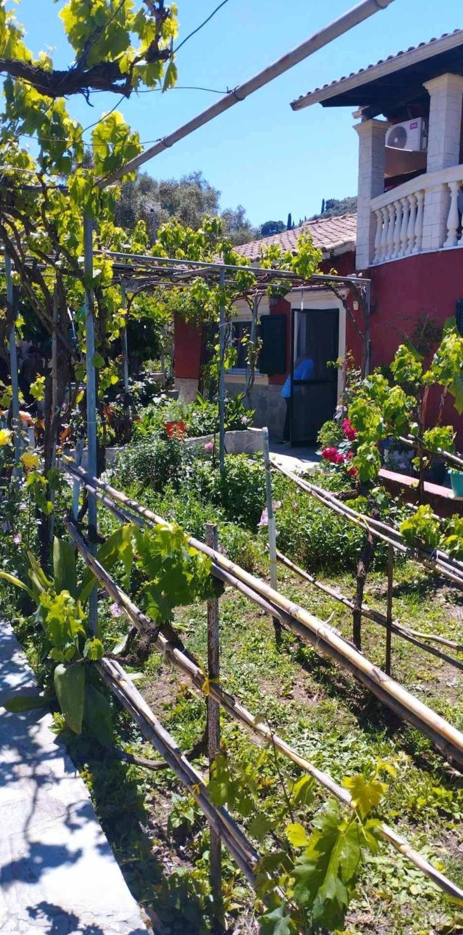 Malotu Resort Szinarádesz Kültér fotó
