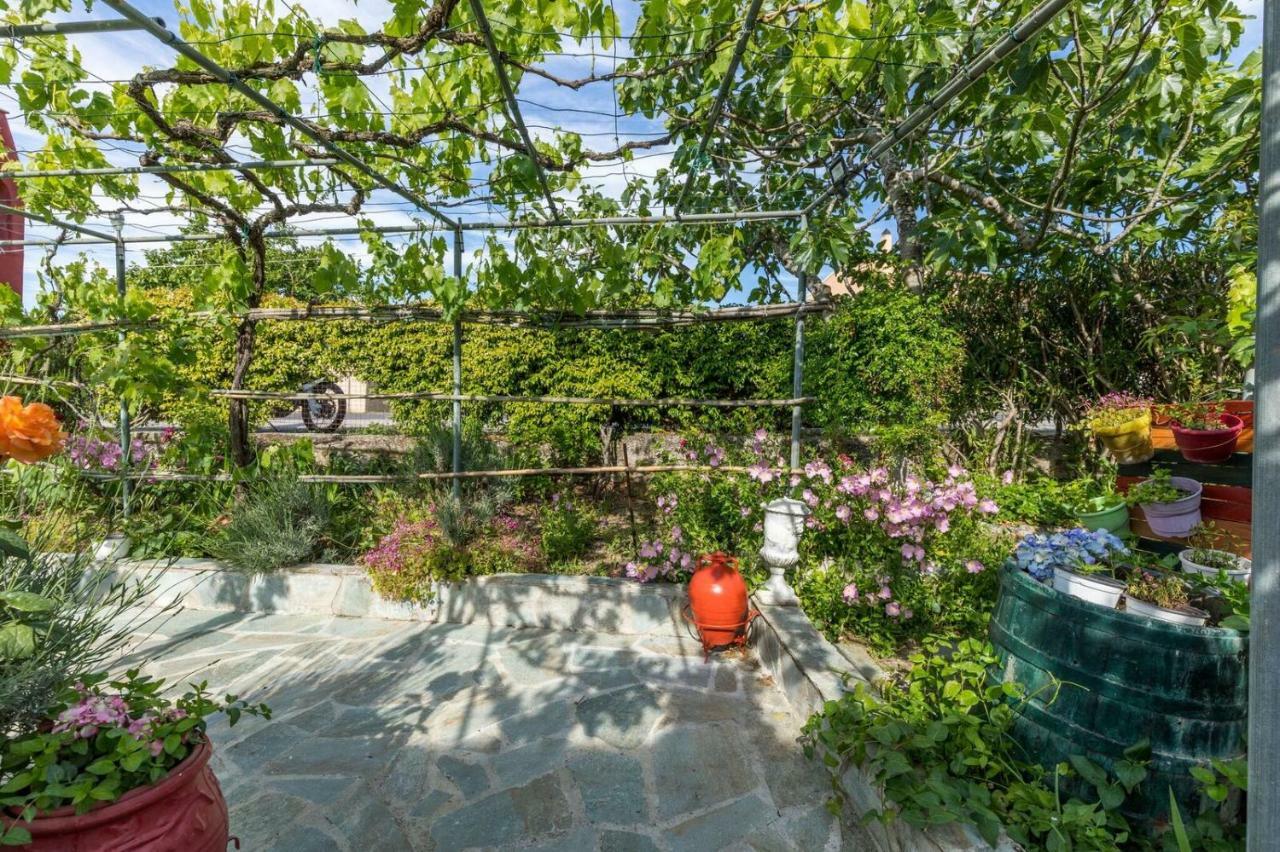 Malotu Resort Szinarádesz Kültér fotó